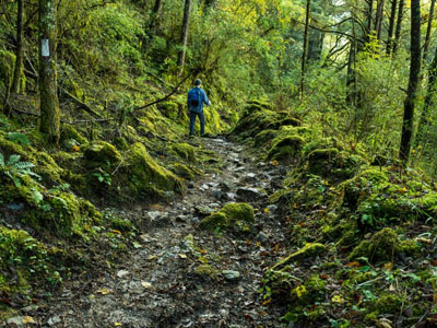 Discover Bhutan’s Hidden Trails